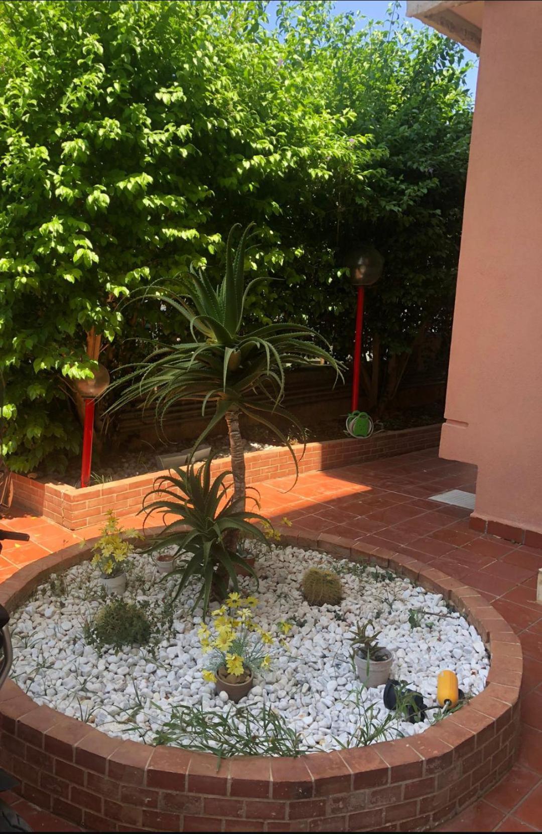 דירות פלרמו Mondello House Lemon מראה חיצוני תמונה