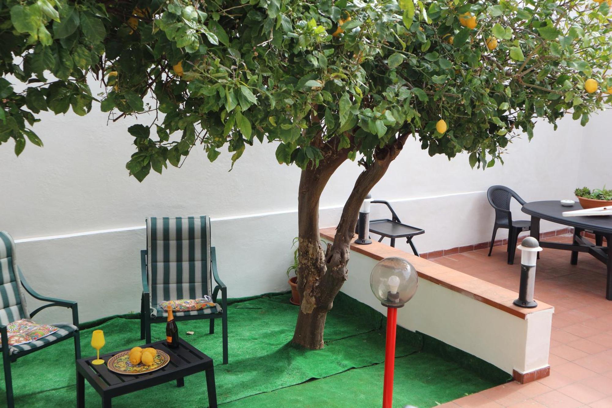 דירות פלרמו Mondello House Lemon מראה חיצוני תמונה